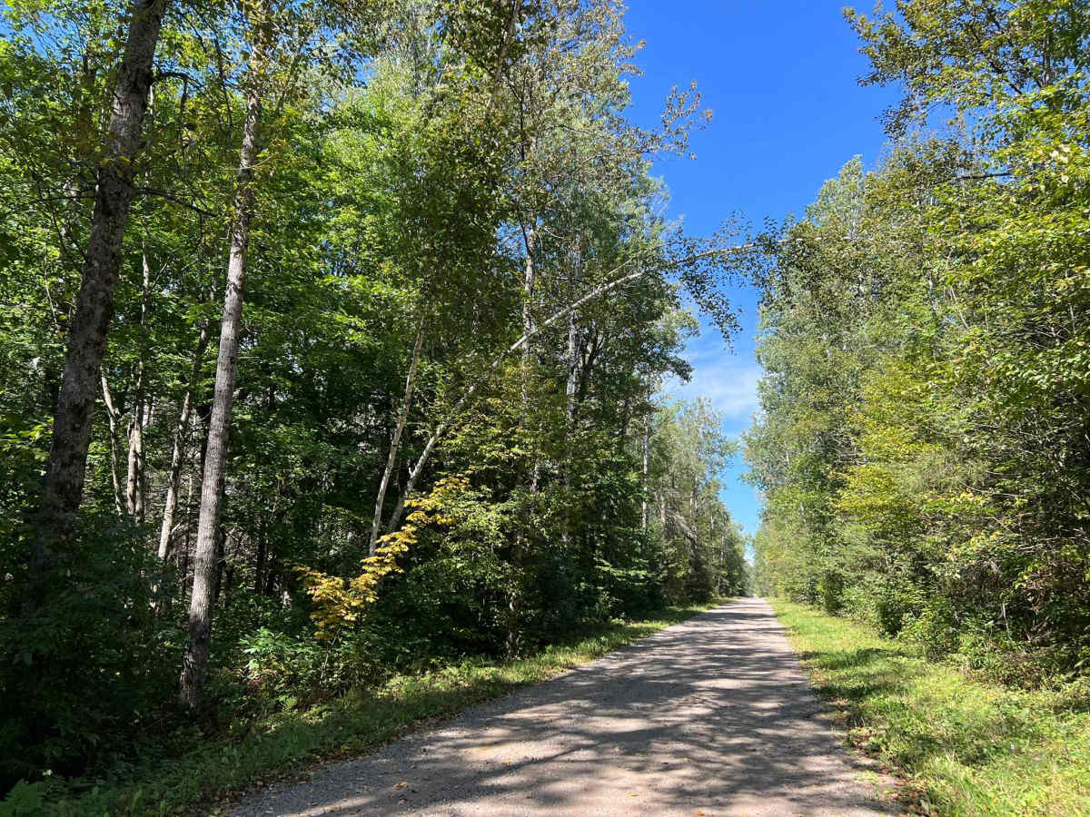 Goose Creek Road - FS 2367 photo 3