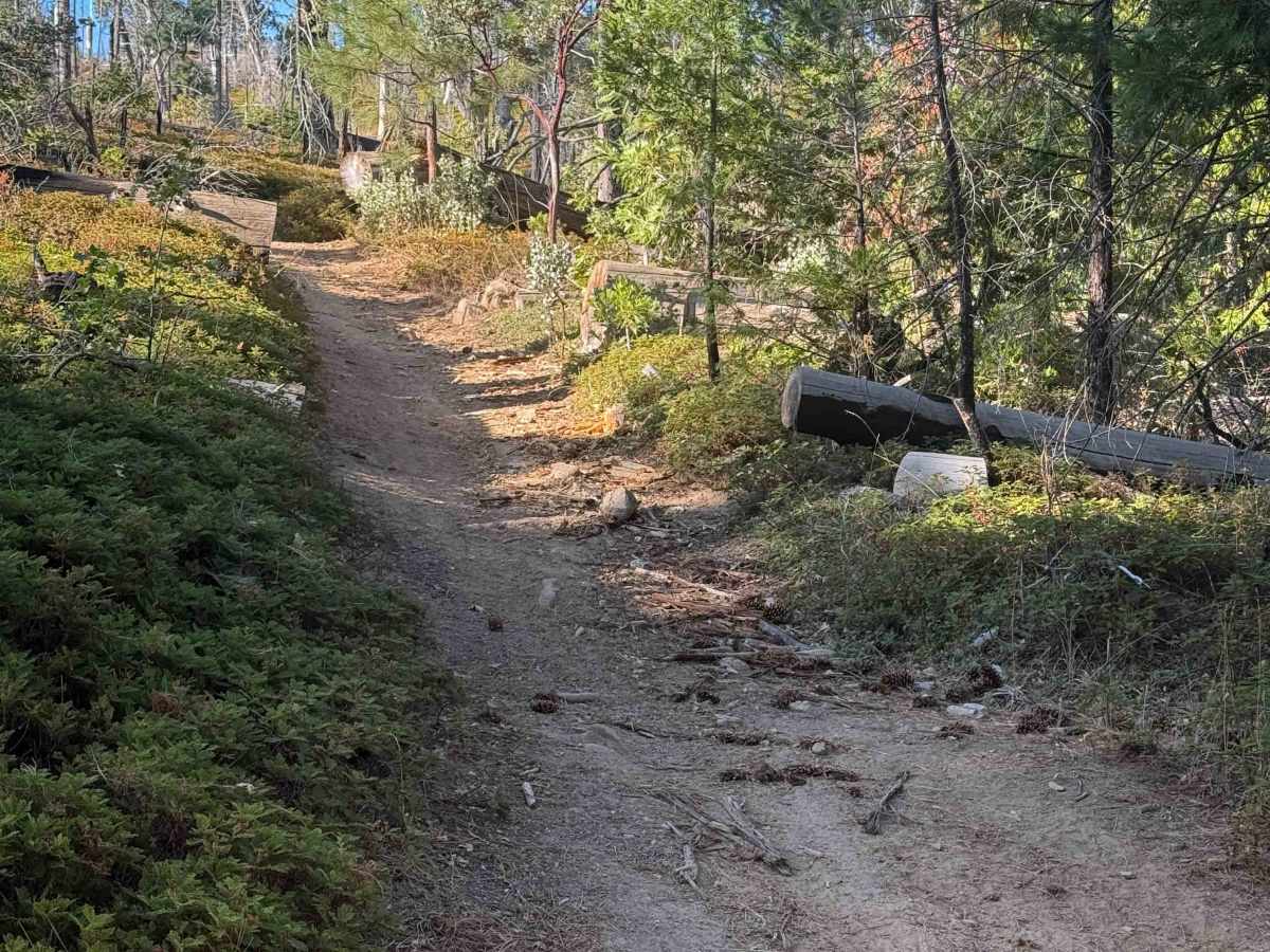 21E227B trail photo