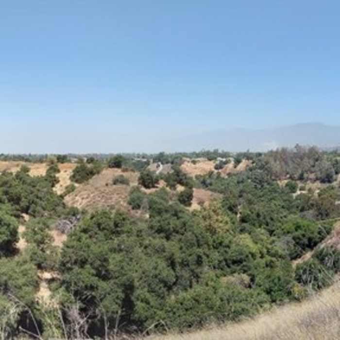 Near Bonelli Trail
