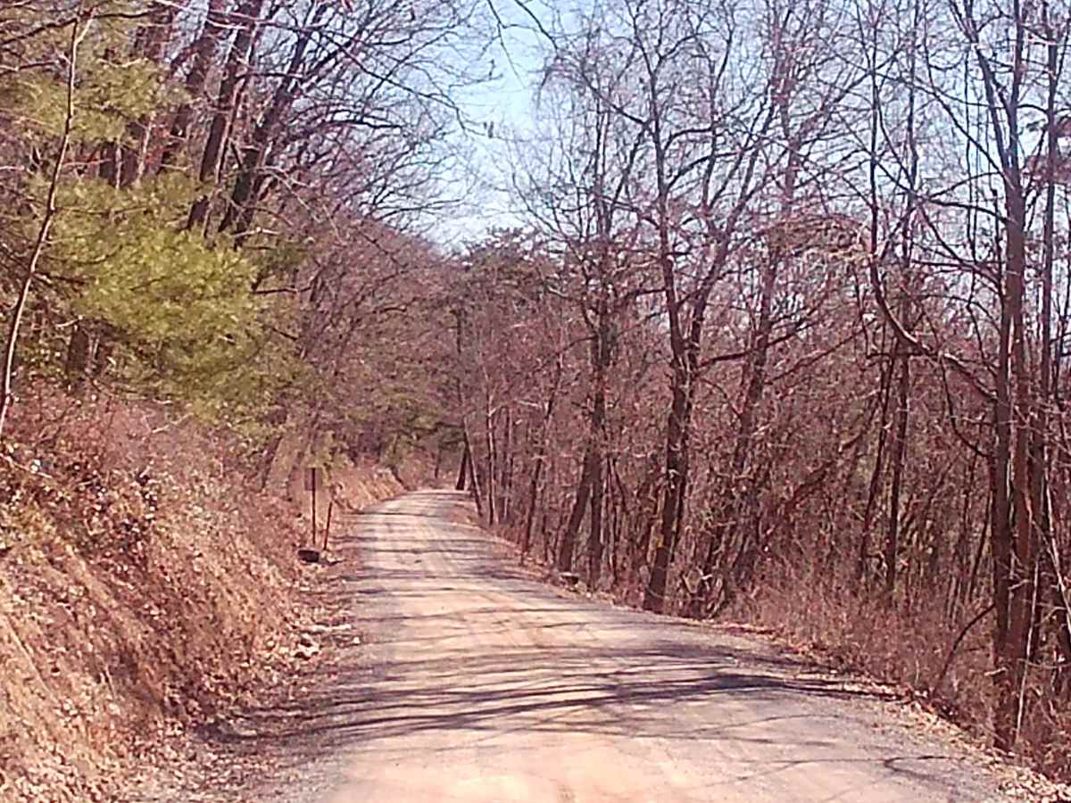 Fox Road photo 3