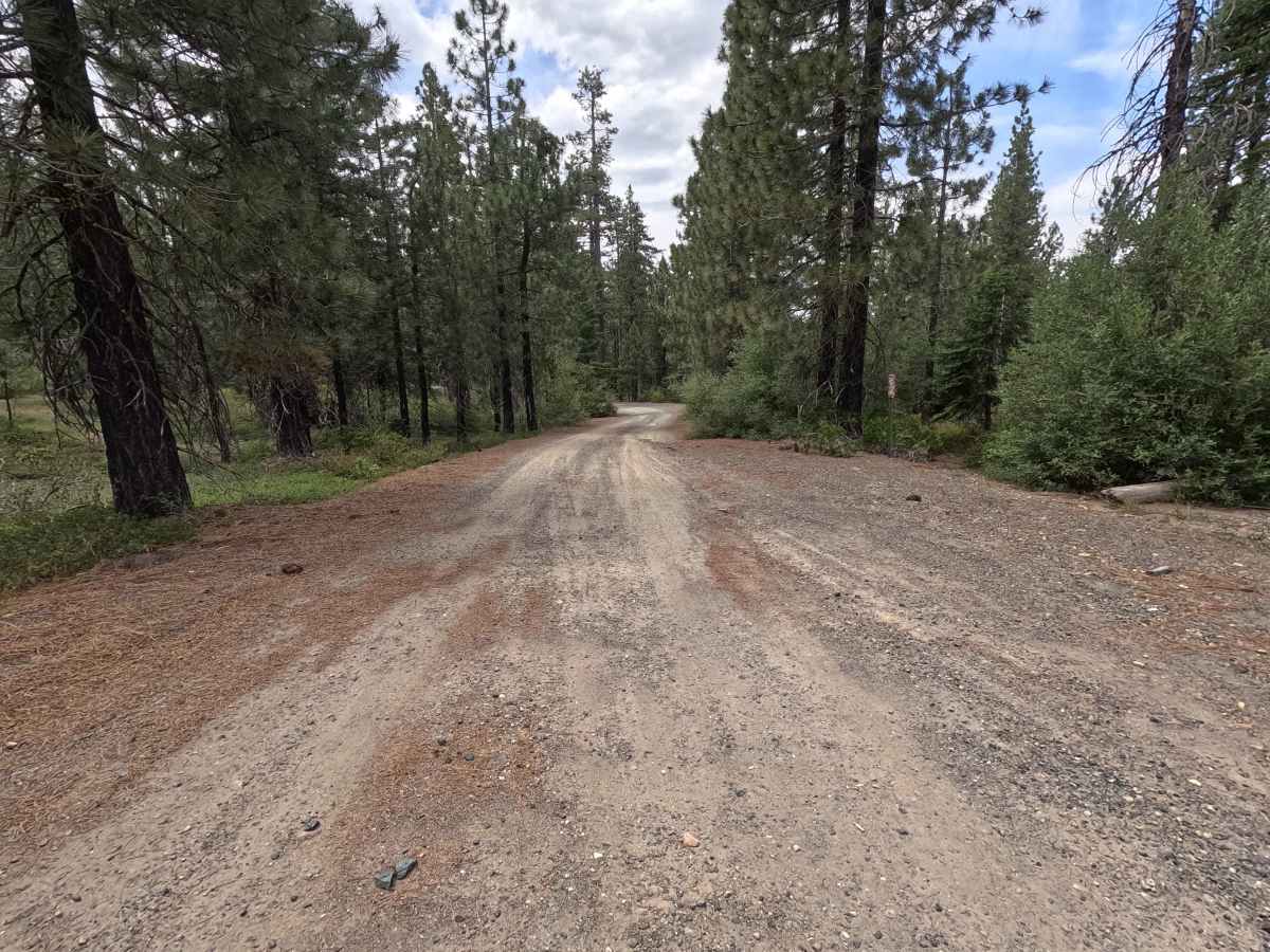 Mule Creek - FS 35N23Y photo 4