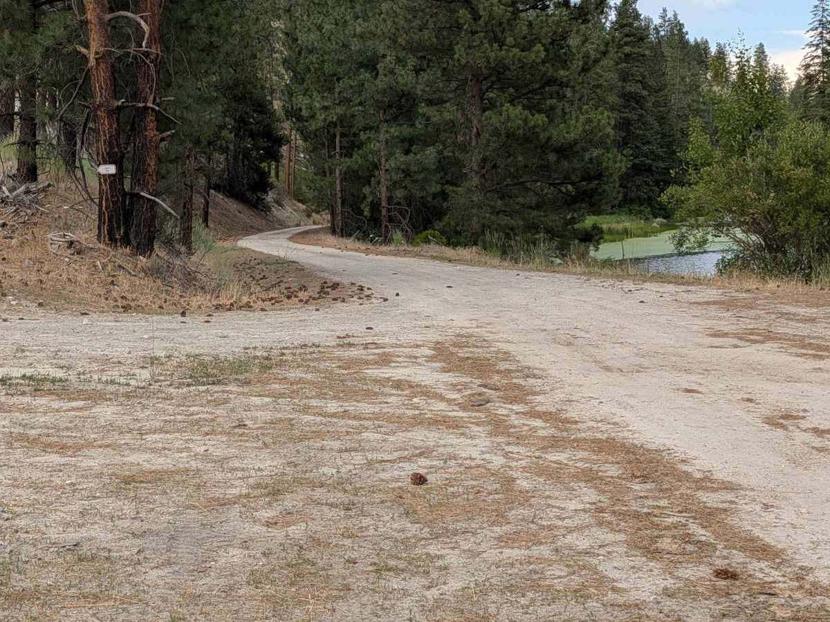 North Cook Mountain Road - South half photo 2