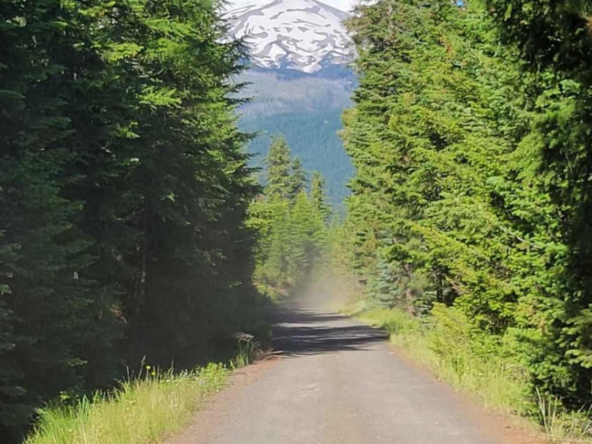 Lookout Mountain Road - FR 4410000 trail photo