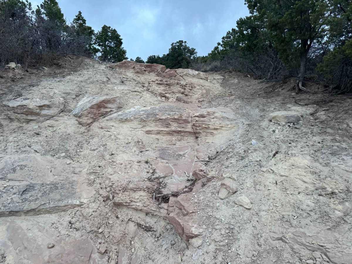Glade Park Overlook photo 4