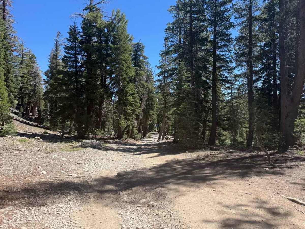 Lost Lakes Road - FS 31070 photo 5