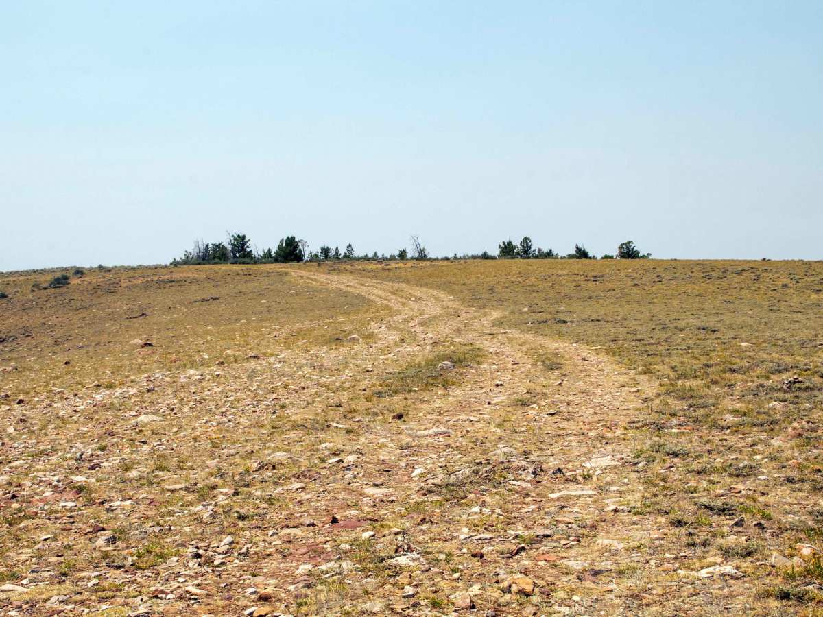 Single Trough - FS10293 trail photo