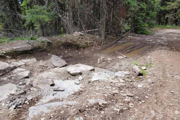 Blacktail Wild Bill OHV