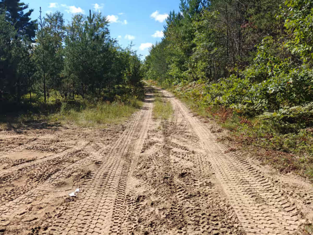 South Townline Road trail photo