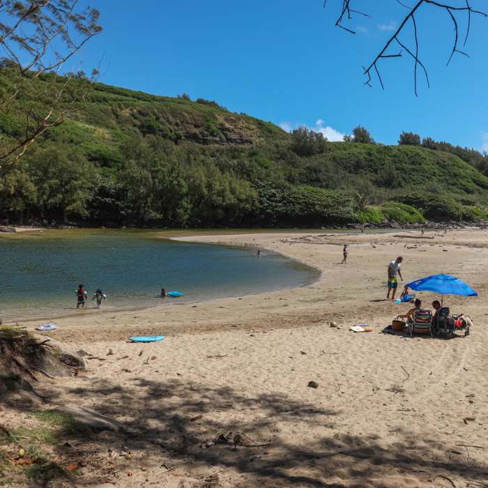 Near Pools of Mokolea