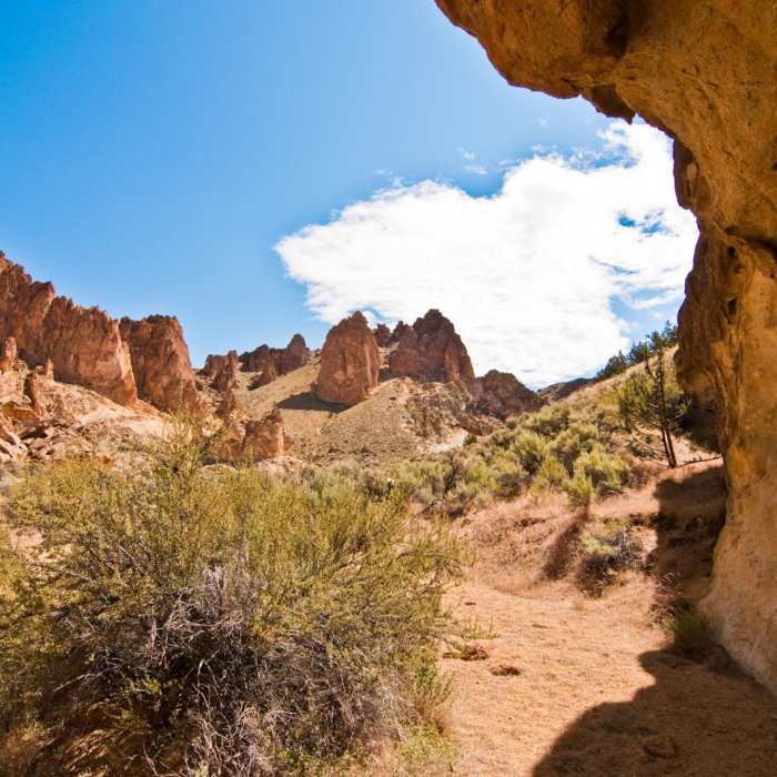 Near The Honeycombs Near The Honeycombs