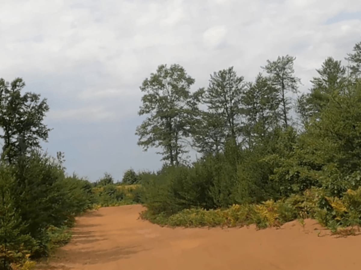 Gladwin Forest Baja trail photo