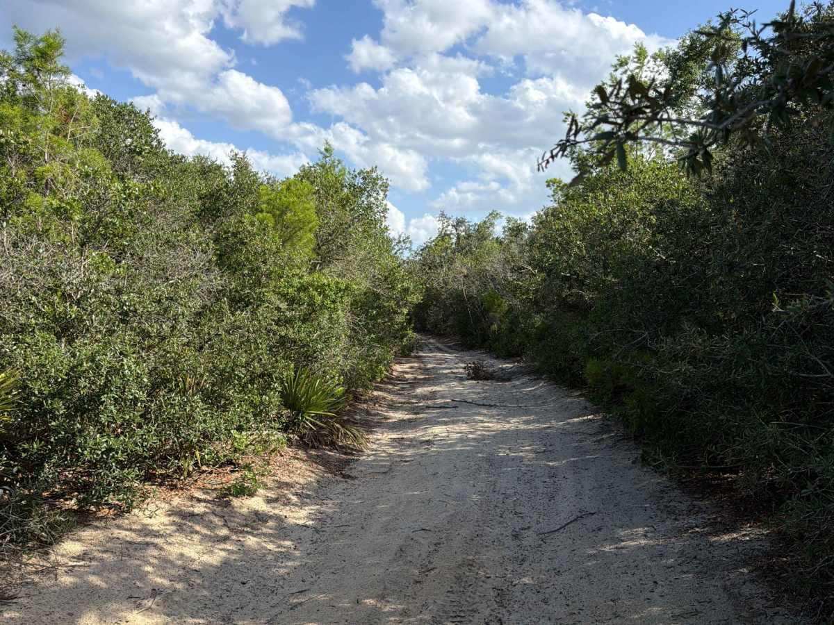 Lam Horse Trail - FS 22-2.8 photo 3