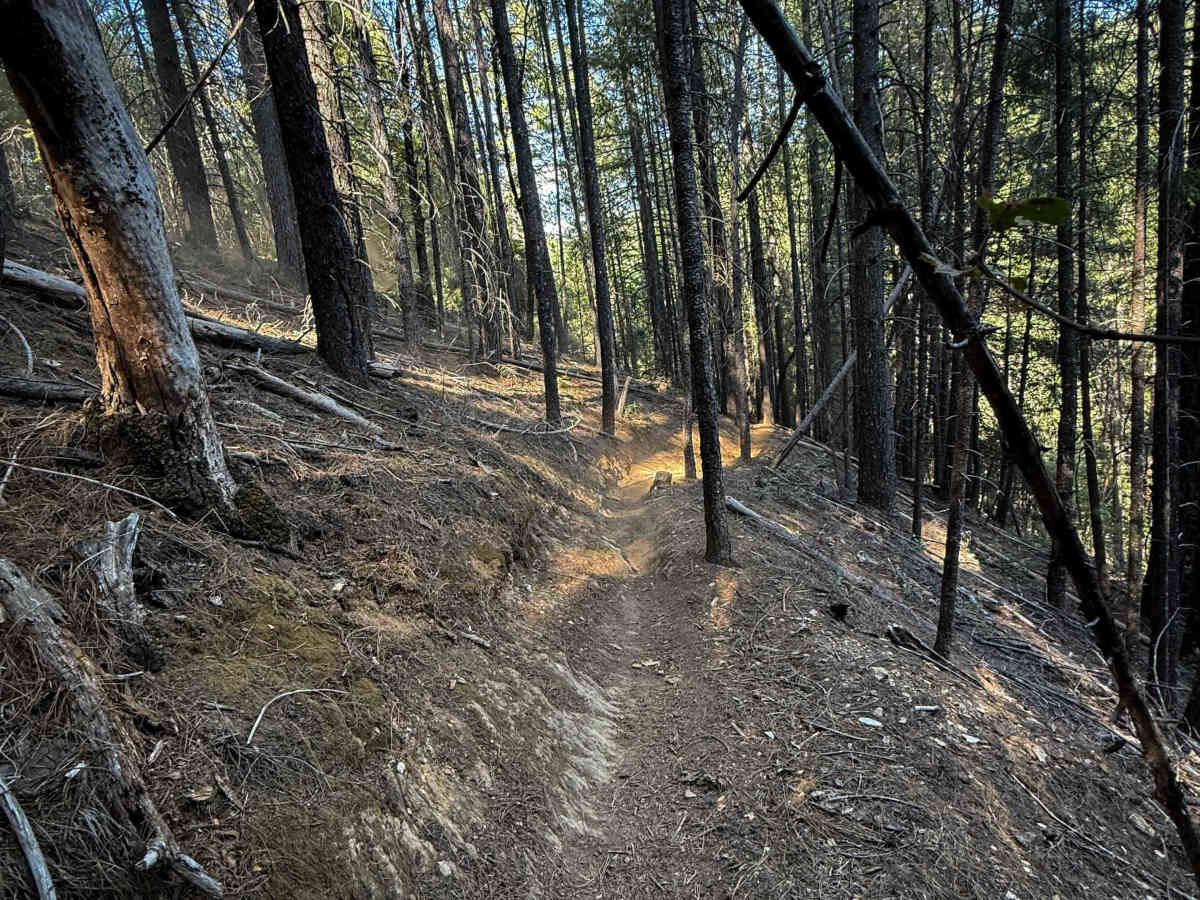 Trail 5-1 (11E32) trail photo