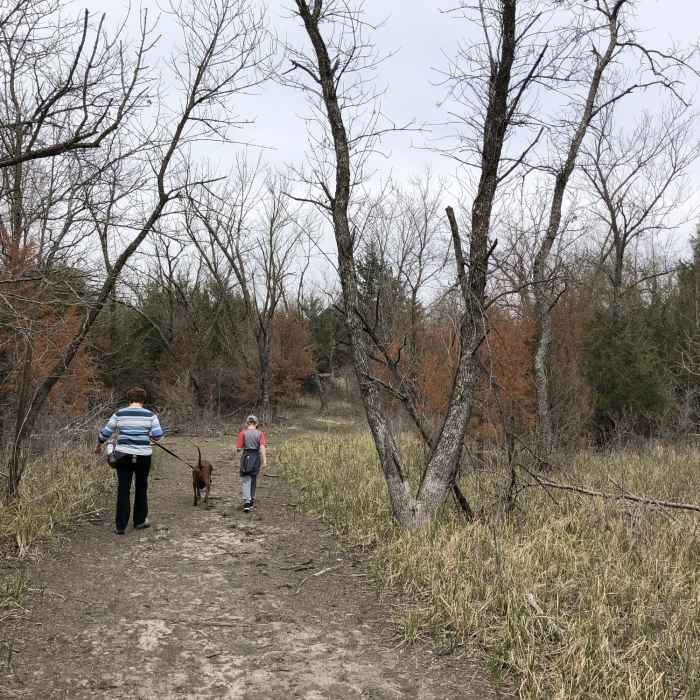 Near Community Building Trails