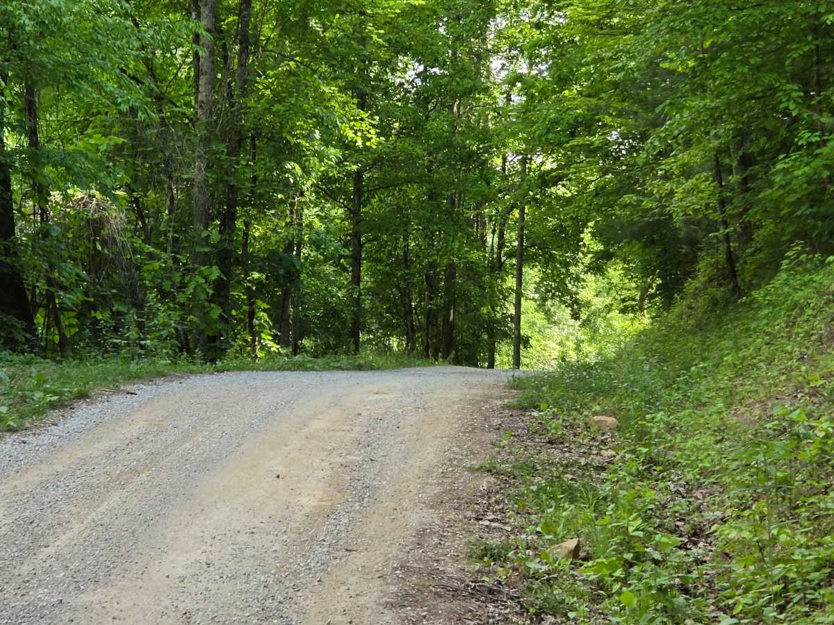 Newfound Road trail photo
