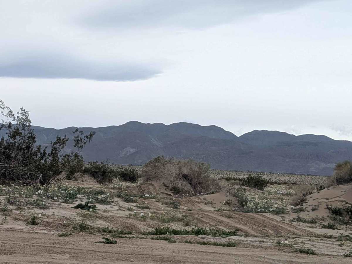 North Fork San Felipe Wash photo 5