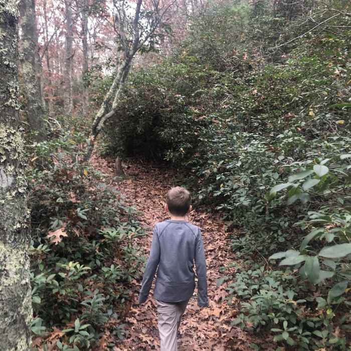 Near Duval Trail (Blue)