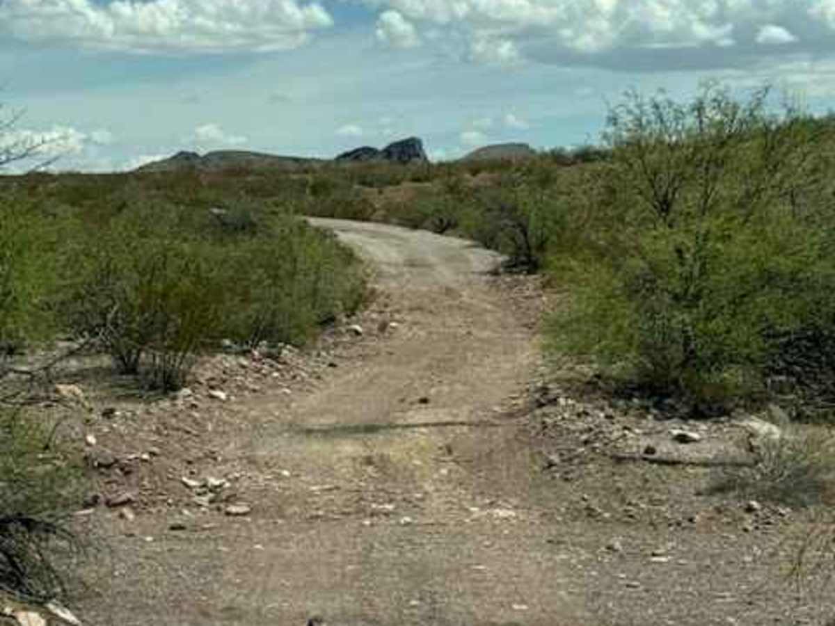 BLM PE1139 photo 5