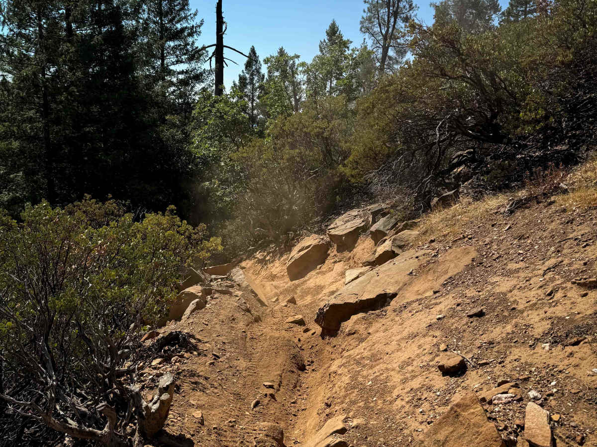 Trail 10 (11E44)  photo 5