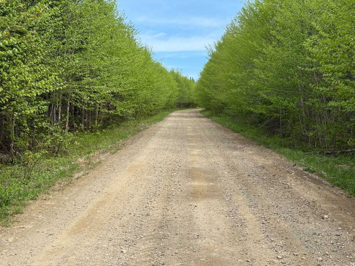 Whycocomagh Mountain Road Trail photo 2