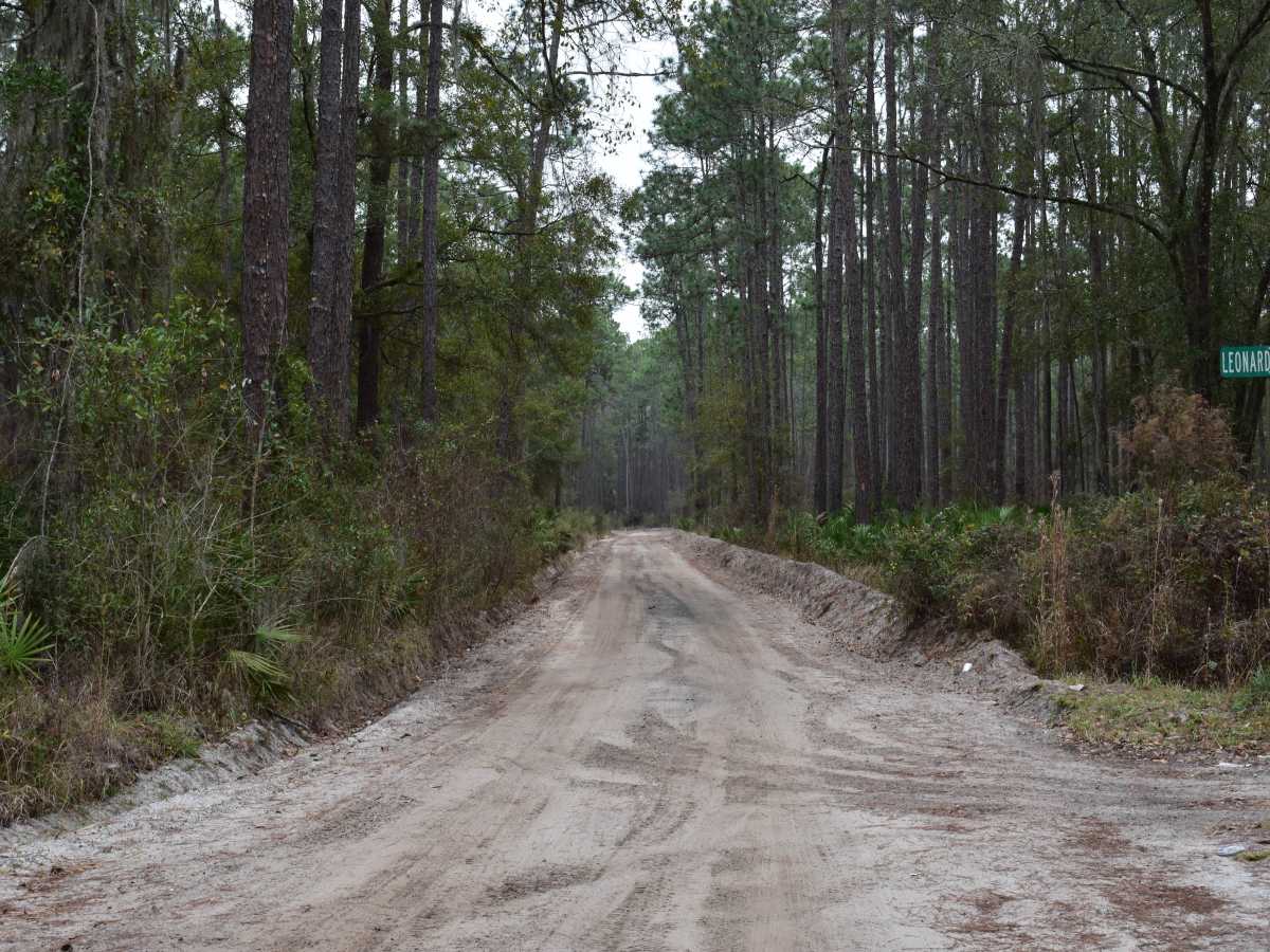 CC Road trail photo