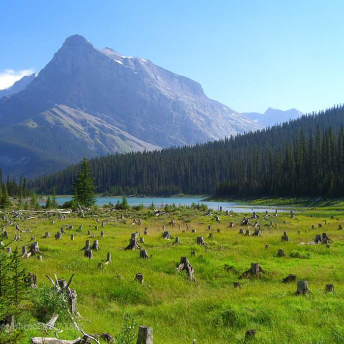 Near Northover Ridge Figure Eight