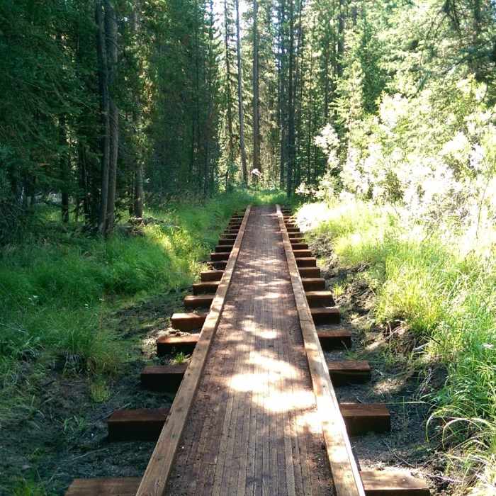 Near Rough Creek Trail