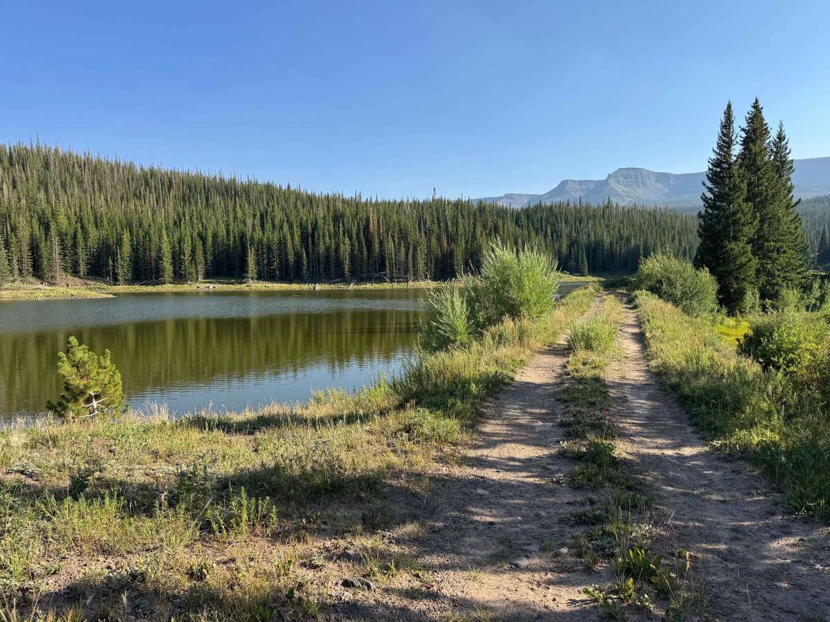 Ram’s Horn Lake Road - FS 9111 trail photo