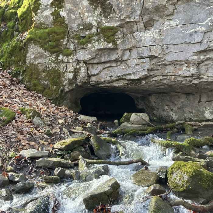 Water flowing out of the mouth of the cave. Near Cove Loop