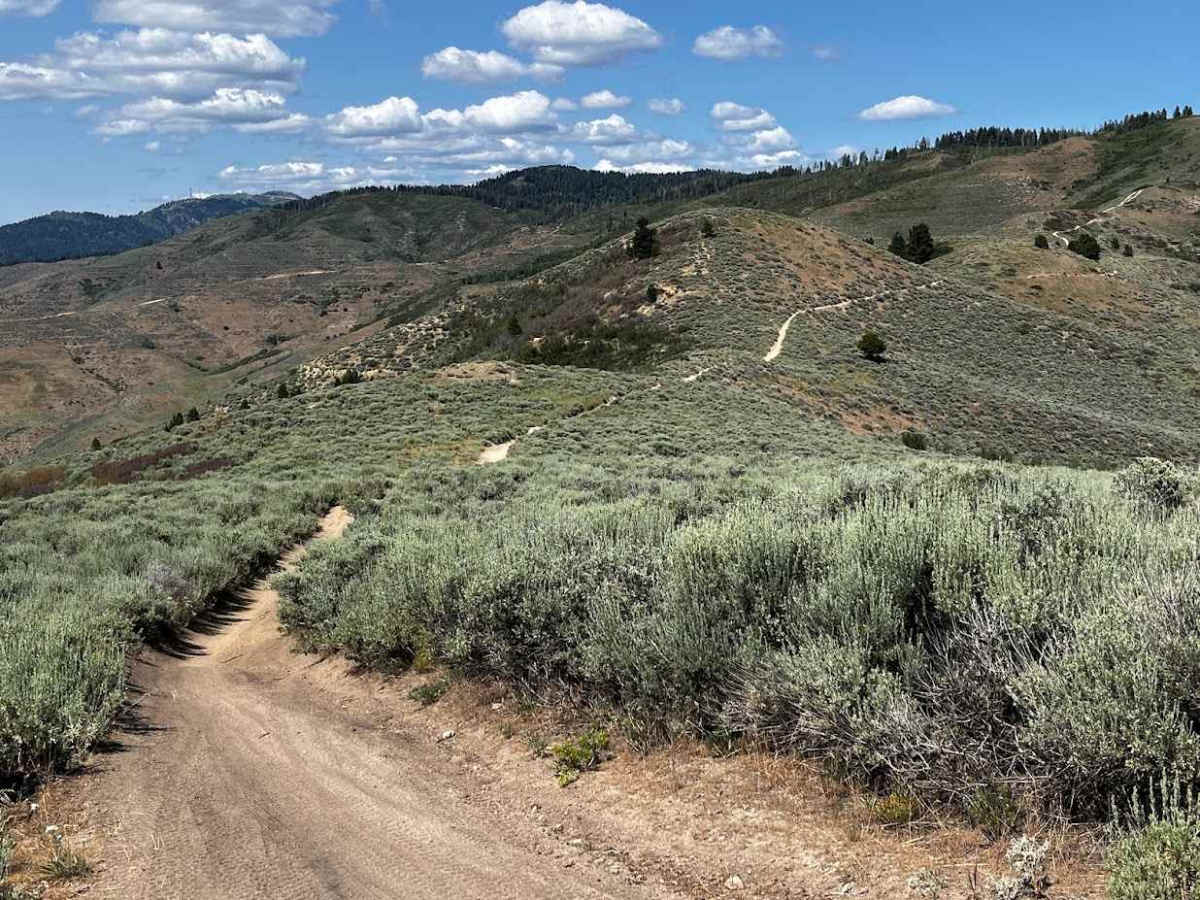 Femrite's Patrol Trail 6 trail photo