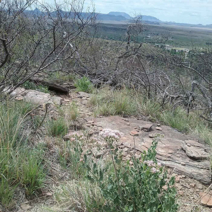 Near Hospital Canyon Loop