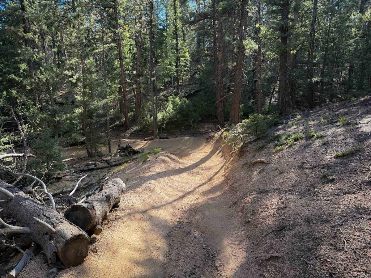 Rule Spur Trail - FS 717A  photo 5