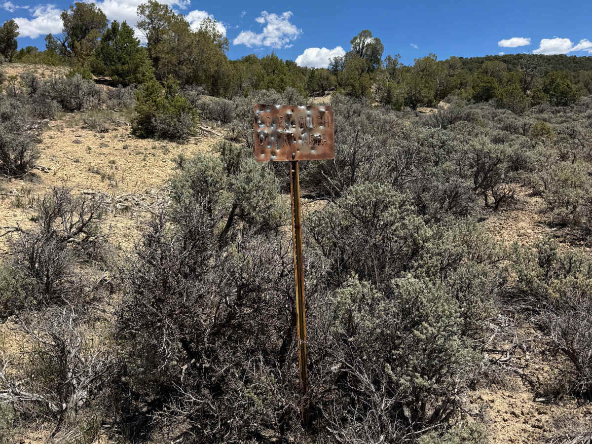 BLM 8463D photo 3