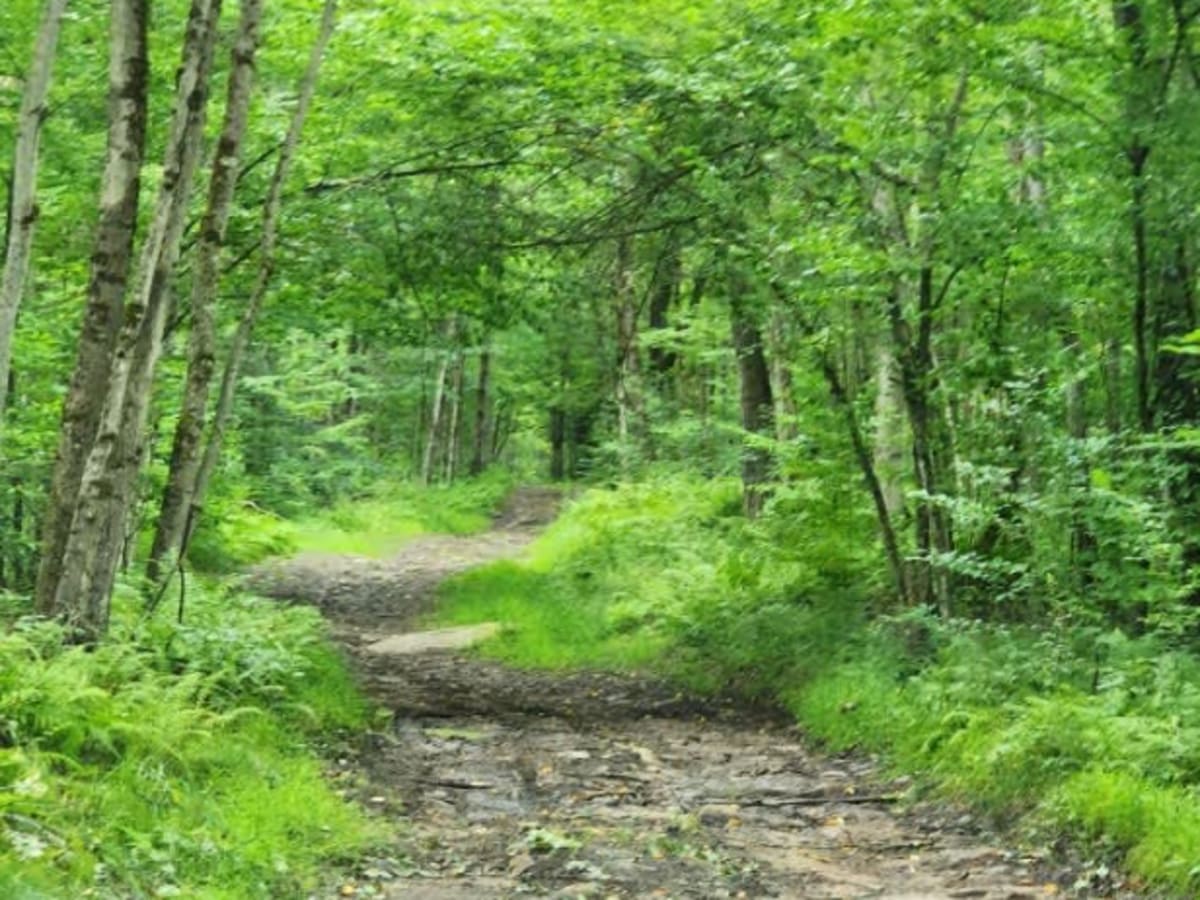 Britton Road photo 3