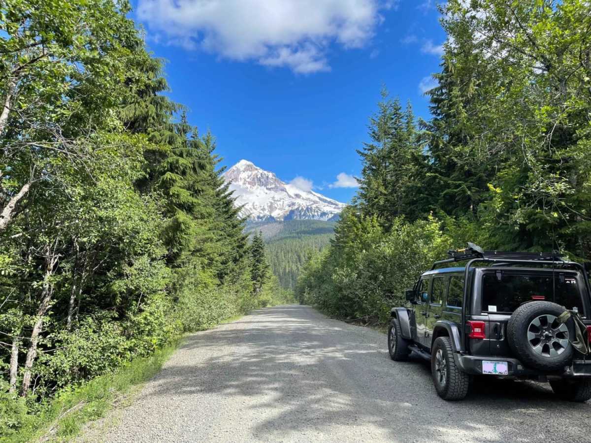 Lolo Pass trail photo