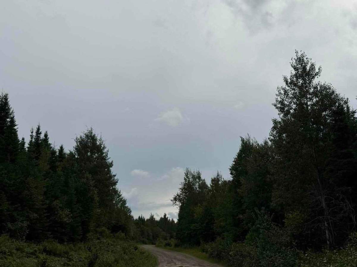 Chemin du Lac des Castors photo 4