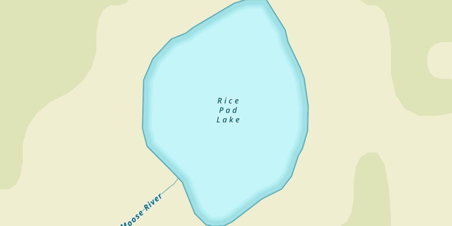 Rice Pad Lake