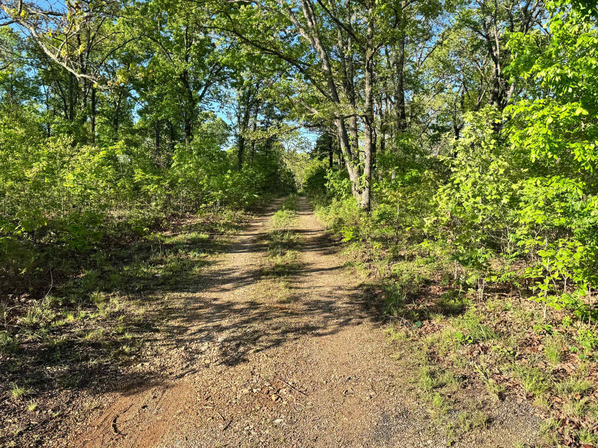 Watts Hollow - FS 1509 trail photo