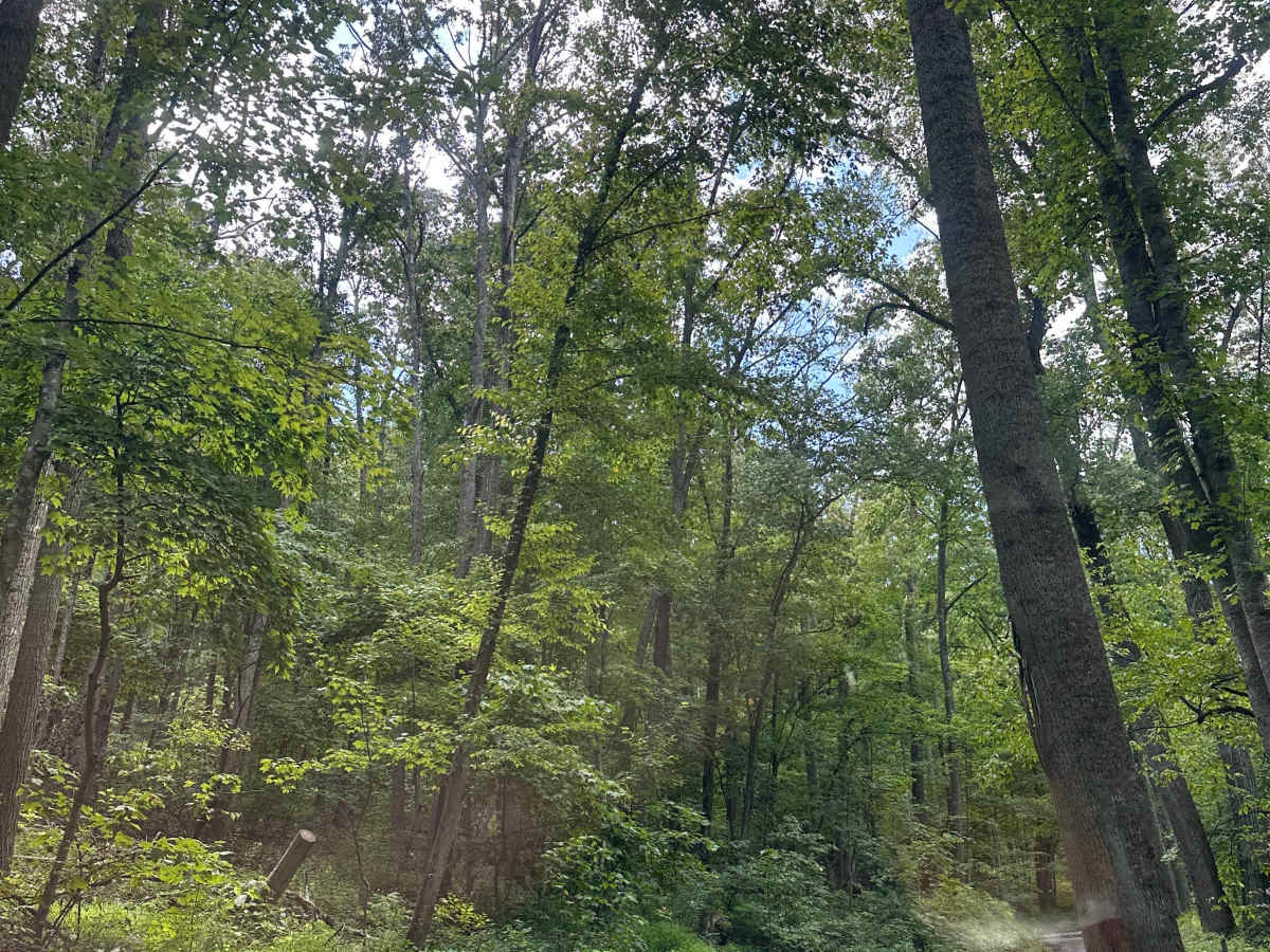 Cold Spring Road photo 3
