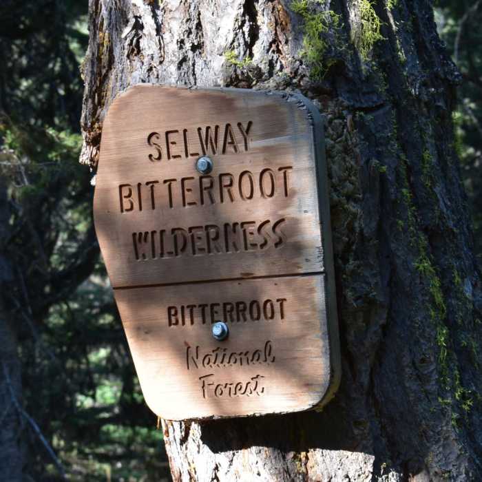 Near Canyon Creek Lake