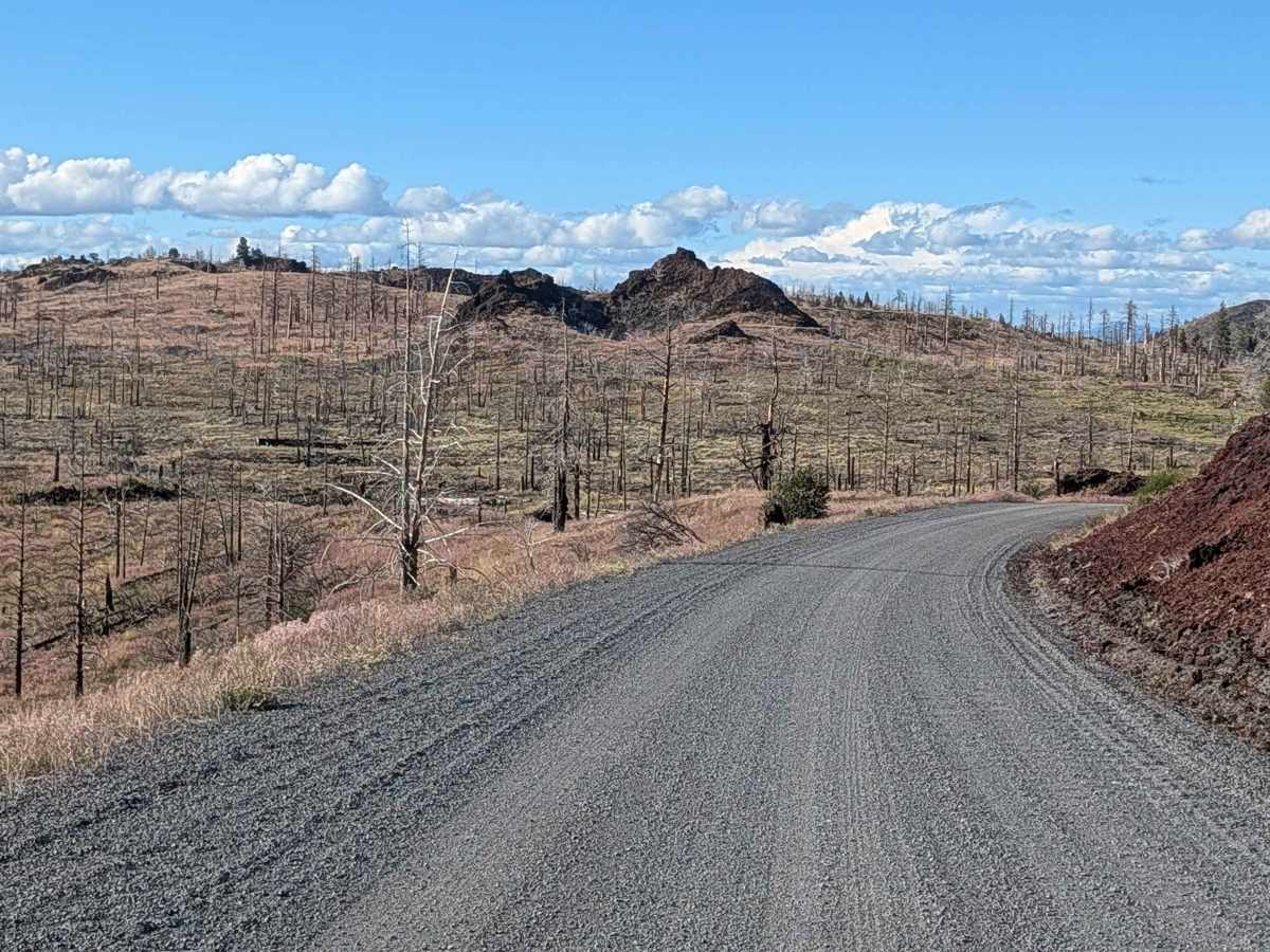 Medicine Lake Road - FS 44N75 trail photo