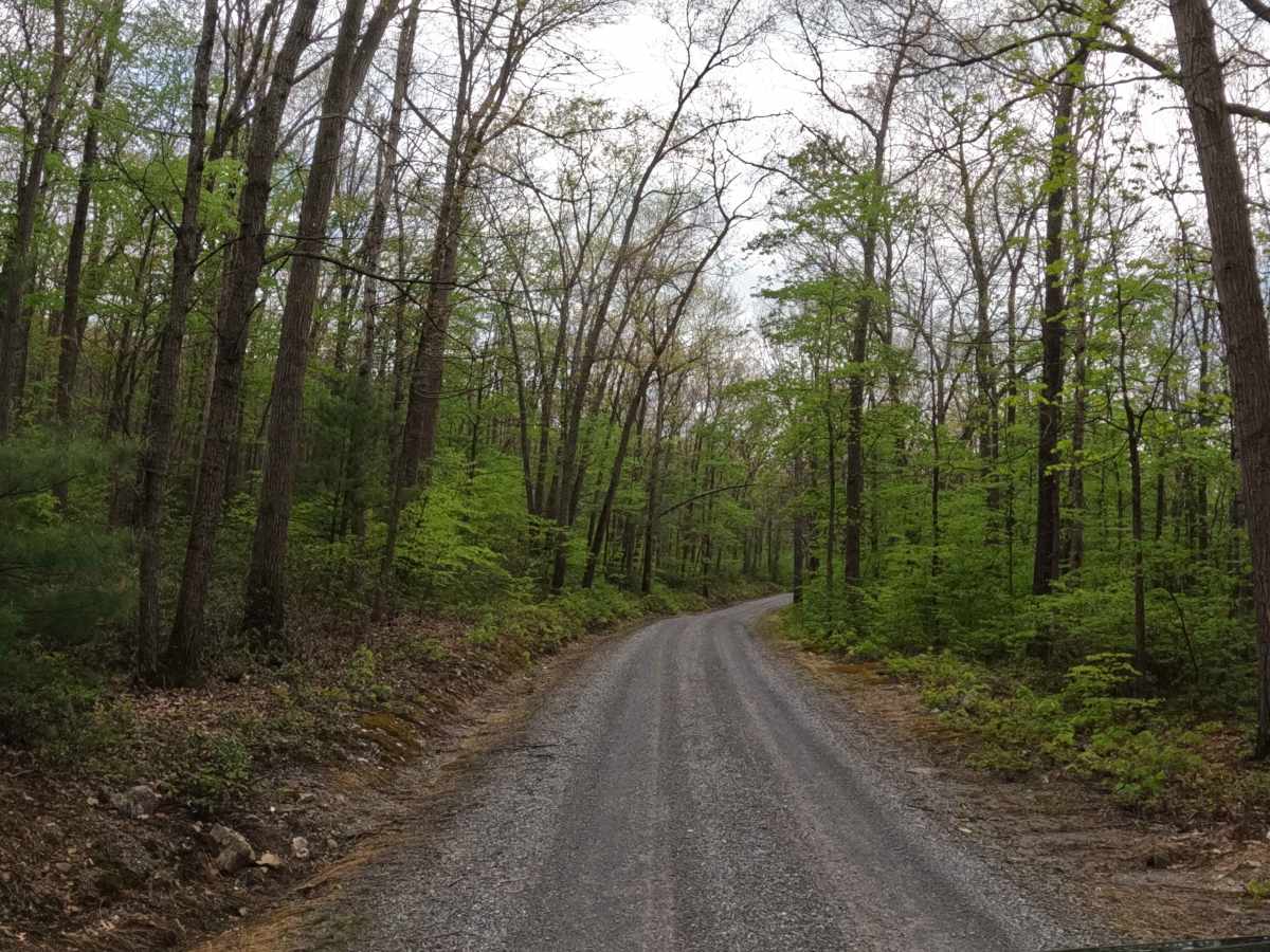 Pine Ridge Road photo 3