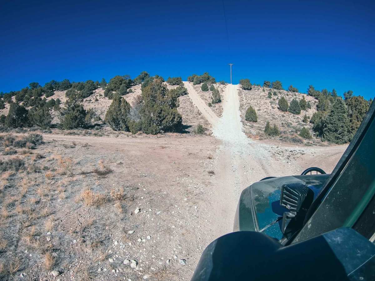 Powerline Road photo 5