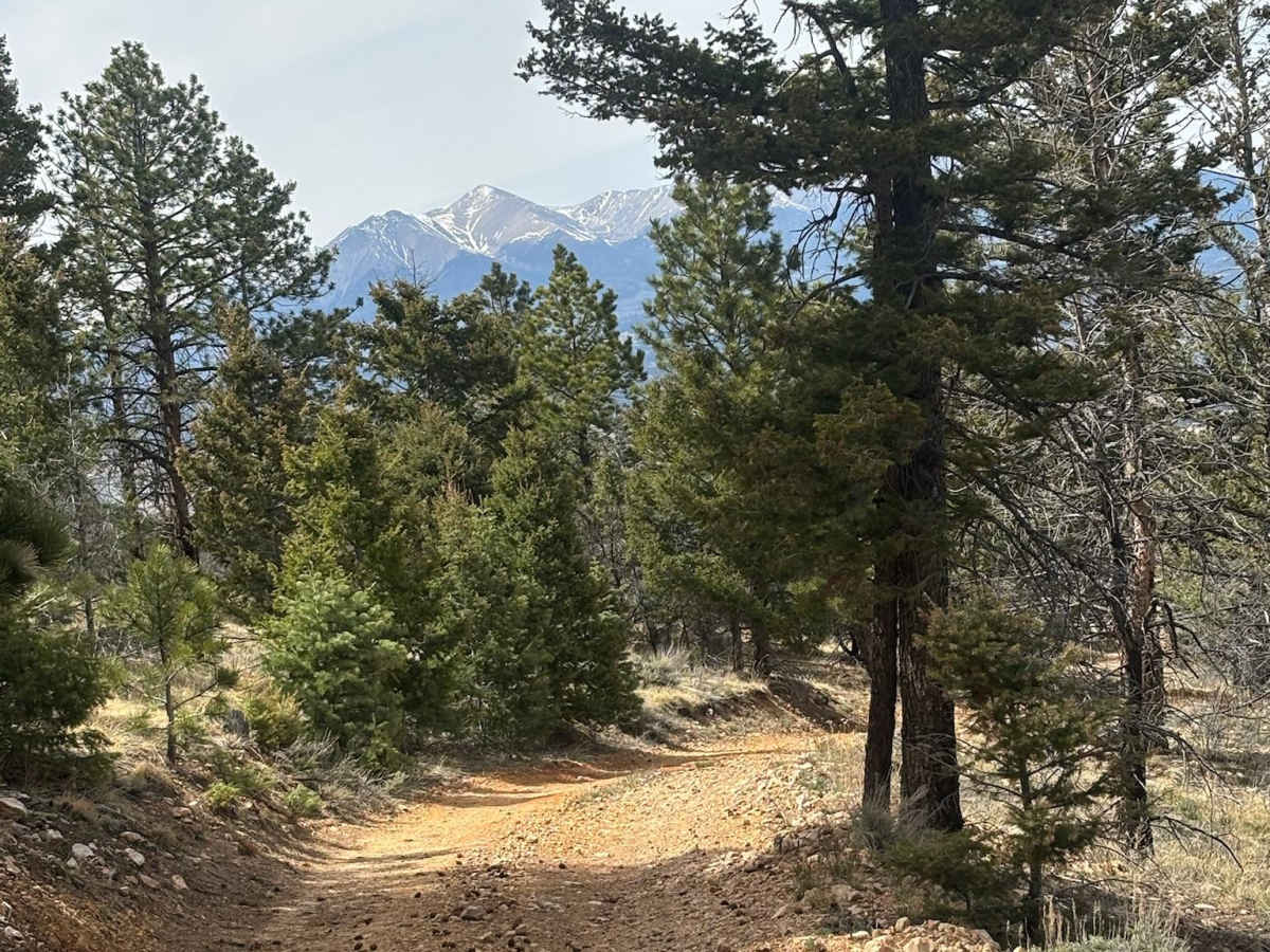 Methodist Mountain Road photo 6