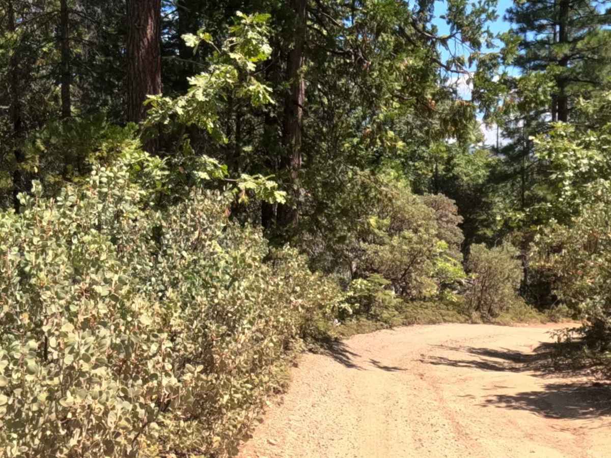 Ten Mile Spur - FS 5S062 photo 2