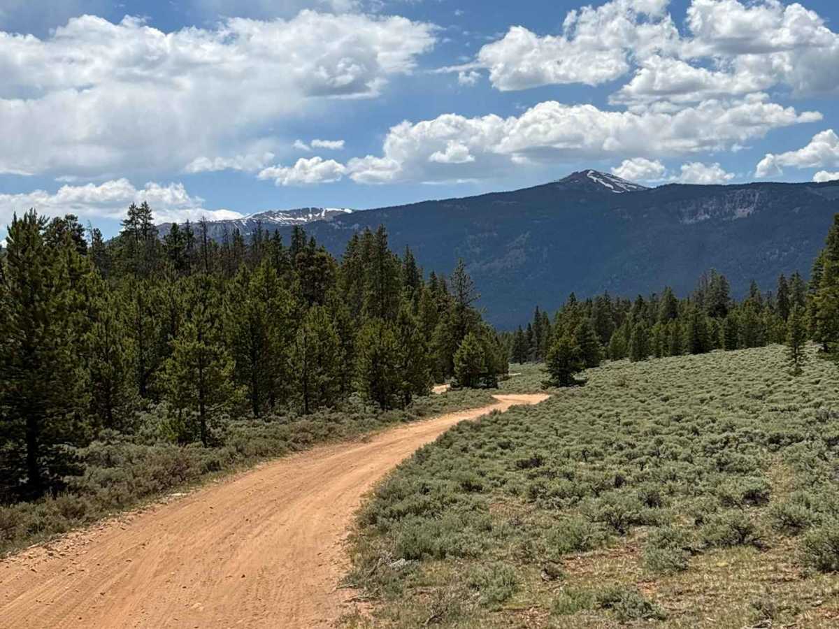 Hobbs Gulch Road photo 6