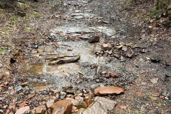 Thrasher Trail