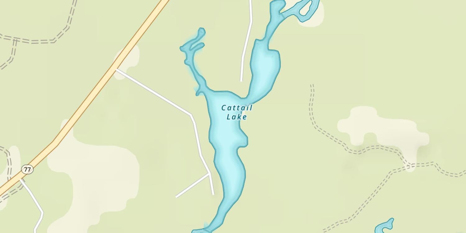 Cattail Lake