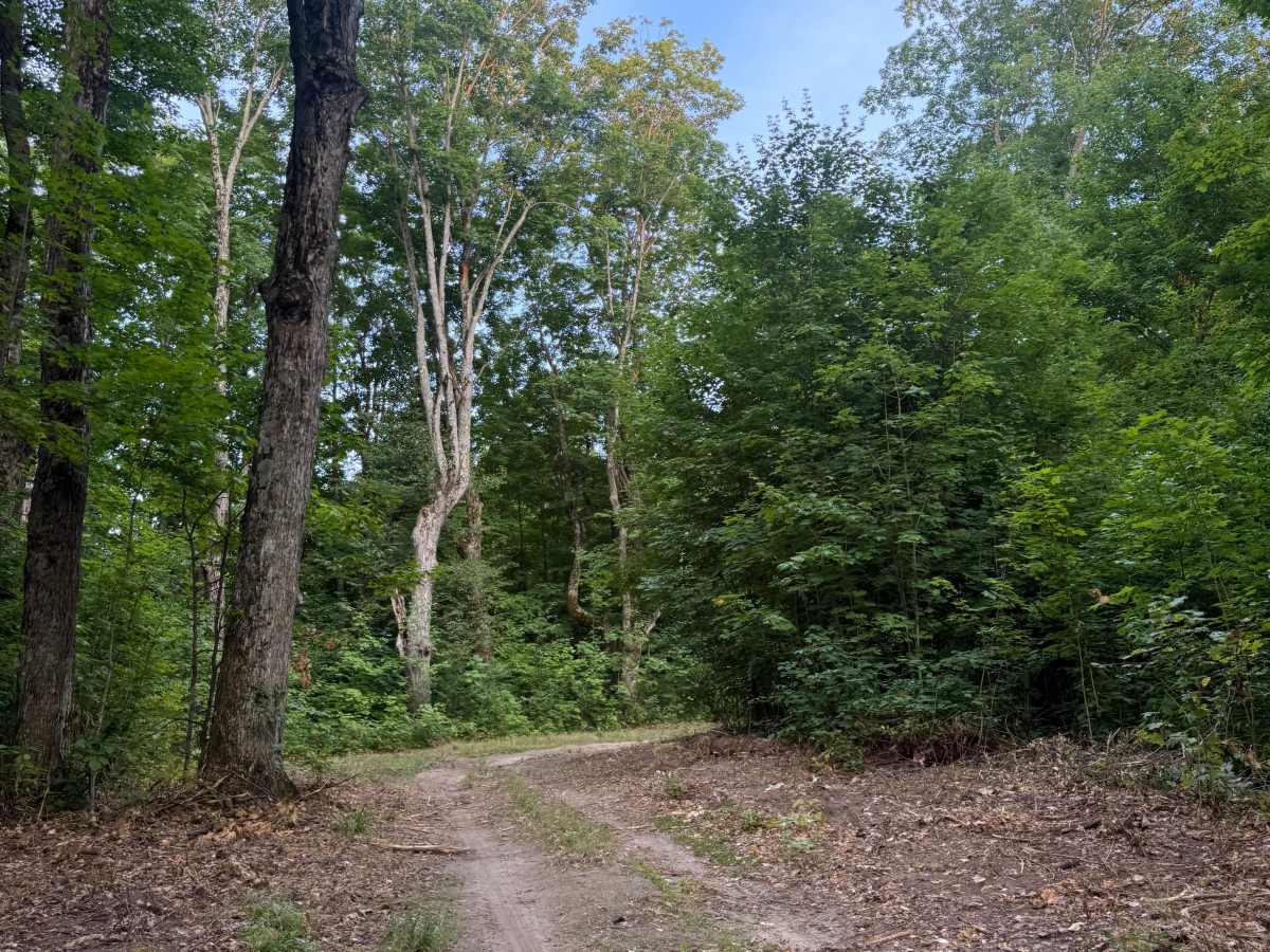 N 5 Trail photo 3