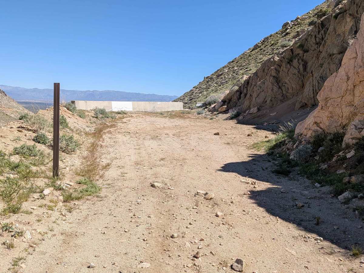 BLM 116 photo 2